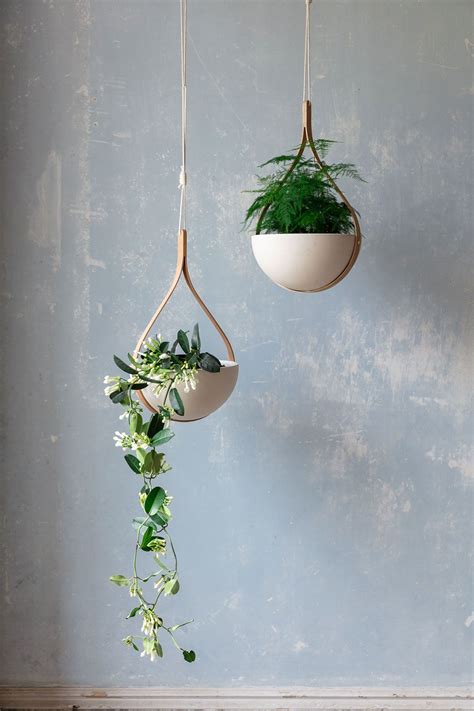Hanging Plants From Ceiling: Add Life To Your Living Space - Ceiling Ideas