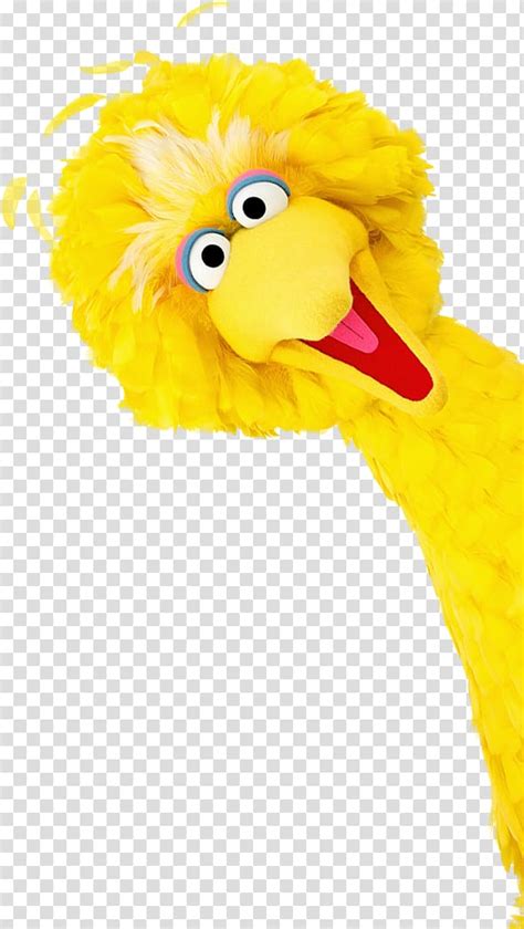 Free Big Bird Cliparts, Download Free Big Bird Cliparts Png Images ...