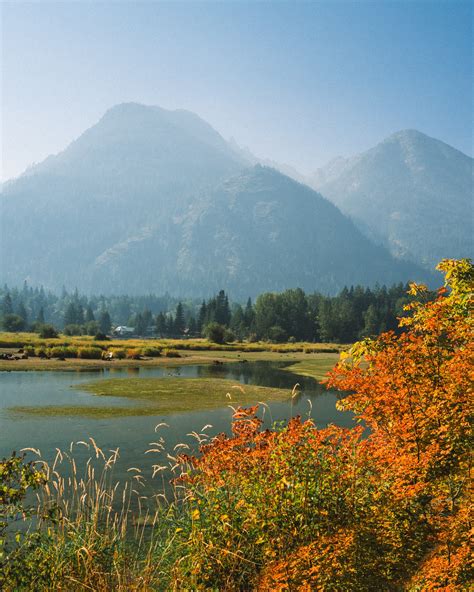 Washington Fall Colors 的图像结果