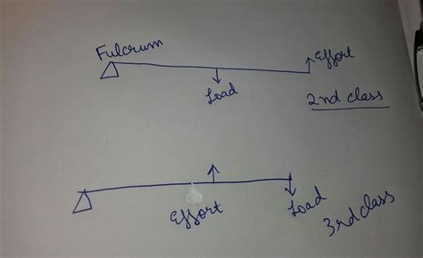 Second and third class levers both have __________. A. the fulcrum ...