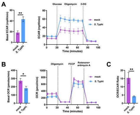 Salmonella enterica Serovar Typhi Induces Host Metabolic Reprogramming ...