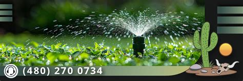 Image result for Auto Irrigation System