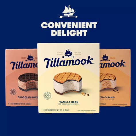 Tillamook Salted Caramel Ice Cream Sandwiches - Shop Cones & sandwiches ...