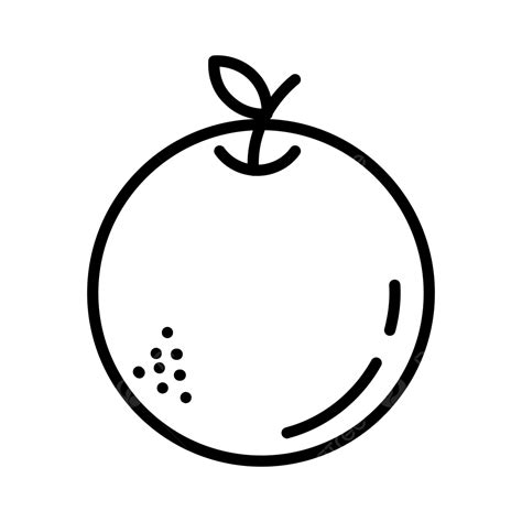Orange Line Drawing Orange Slice Stock Illustrations – 138,453