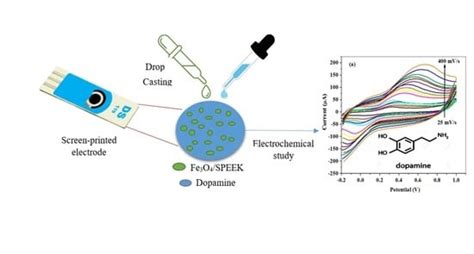 Electrochemical Detection of Dopamine at Fe3O4/SPEEK Modified Electrode