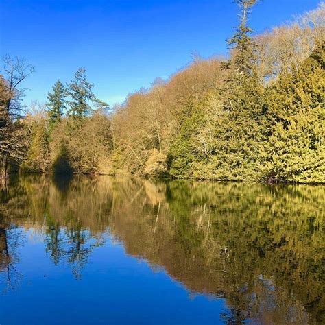 COLESBOURNE PARK (2026) All You Need to Know BEFORE You Go (with Photos ...