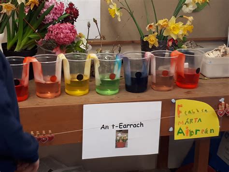 Exploding Water Experiments 的图像结果