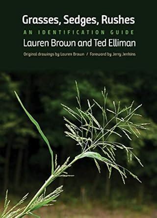 Buy Grasses, Sedges, Rushes – An Identification Guide Book Online at ...