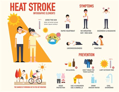 Heatstroke Infographic Poster Heat Stroke Symptoms And Prevention