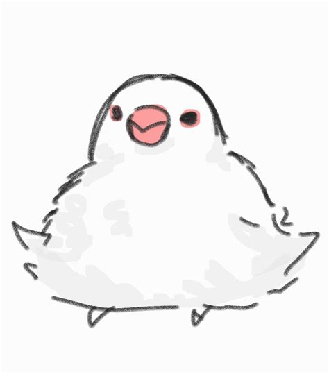 Image result for Java Sparrows for Sale