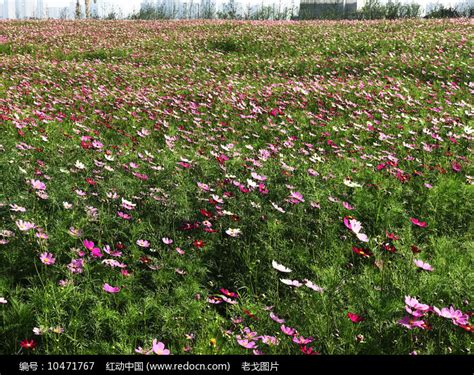 春暖花开时高清图片下载-正版图片500380823-摄图网