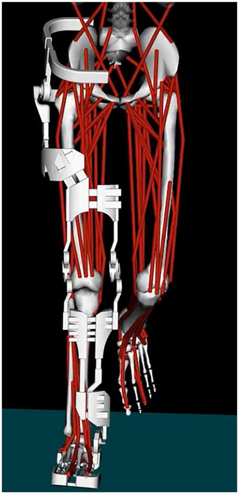 Image result for OpenSim Software