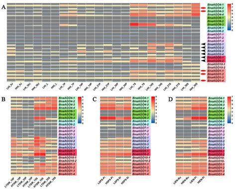 Genome-Wide Identification and Posttranscriptional Regulation Analyses ...
