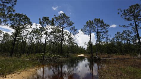 Trump Administration Rolling Back Federal Water Protections : NPR