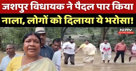 Jashpur News: नाले को विधायक ने पैदल किया पार, देखिए ये Video | Flood ...