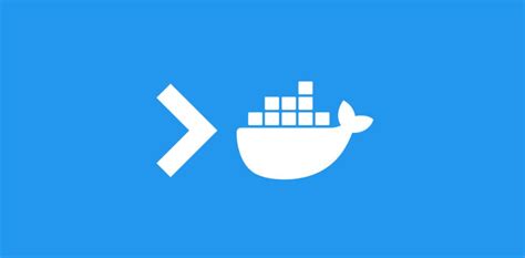 Mastering Docker Shell Commands: A Comprehensive Guide - Tech Hyme