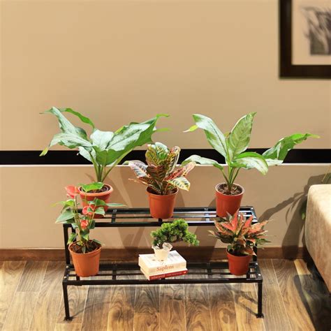 2 Step Stand for Multiple Plants and Pots Stand, Indoor Shelf Holder R ...