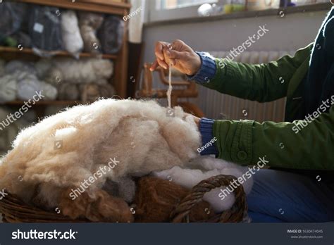 Sheep Wool Clothing