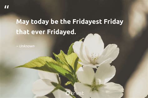 Happy Friday Funny Quotes