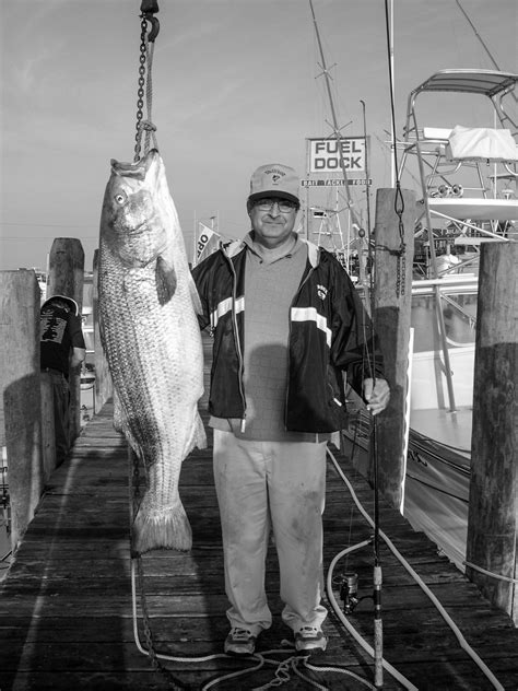 Striped Bass Records - On The Water