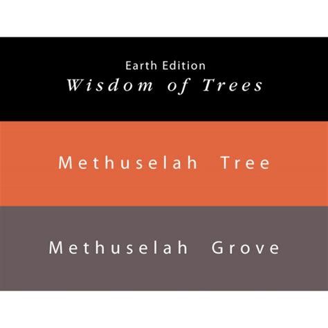 Colorverse Ink | Methuselah Tree | Light Brown | Earth Edition | 65ml ...