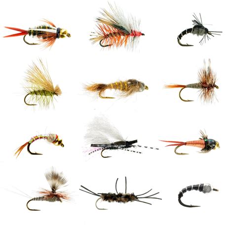 Types Of Flies For Fly Fishing For Trout at Glen Williams blog