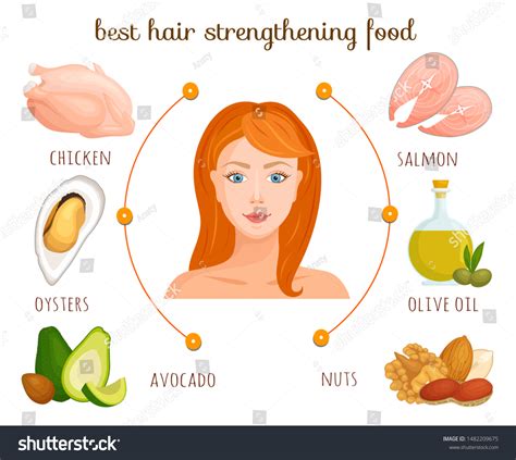 Infographics Best Hair Strengthening Products Diet Stock Vector ...