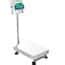Adam Equipment AGF Industrial Floor Scales - Cole-Parmer India