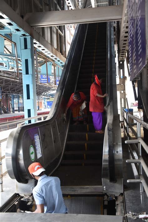 Ser Local Train 的图像结果