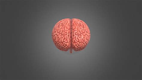 Image result for Brain Machine Learning Vector