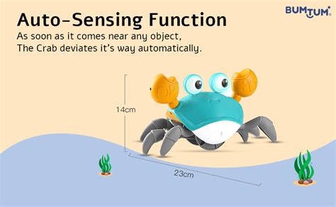 Buy Bumtum Crawling Crab Musical Toy with LED Lights & Rechargeable ...