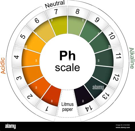 pH scale. Universal Indicator pH. Monitor for Alkaline and Acid levels ...