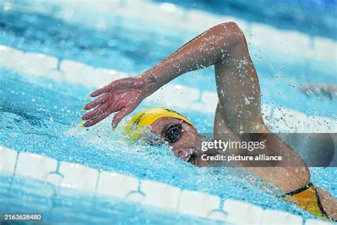 Swimming Olympics 的图像结果