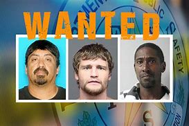 Image result for 10 Most Wanted Fugitives