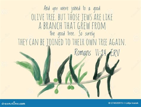 Romans 11 24 Bible Verse stock illustration. Illustration of line - 274535973