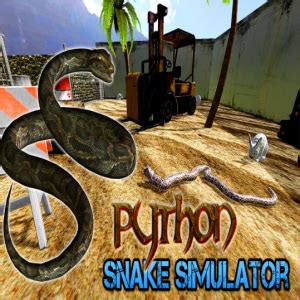 Image result for Python Simulator