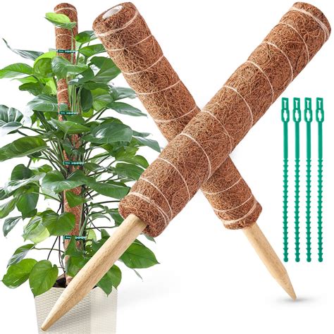 32IN Moss Pole, 2 Pack 16IN Moss Coir Totem Pole for Pothos, Moss Plant ...