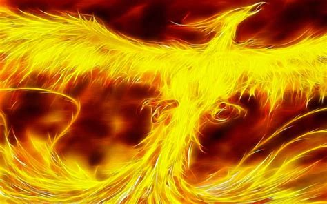 Download Phoenix Fire Wings Wallpaper | Wallpapers.com