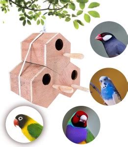 cribfactory 3 Hexagon Breeding Box for African love birds, Budgies ...