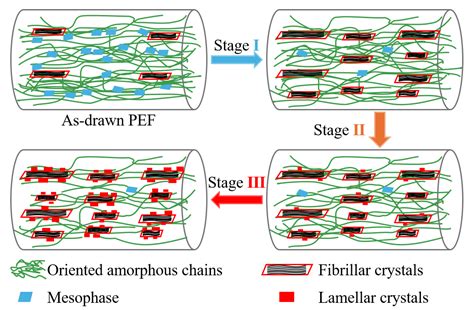 In Situ Following Oriented Crystallization of Pre-Stretched Poly ...