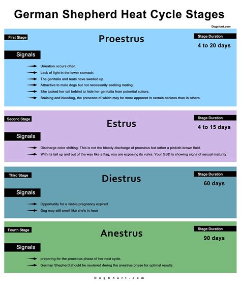 GSD Heat Cycle Chart - 4 Stages, Signals & Duration