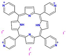 Photophysical Process of Hypocrellin-Based Photodynamic Therapy: An ...