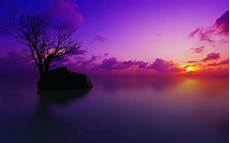 Background Wallpaper Best by Best Desktop Wallpapers Hd Free Background Wallpaper Best