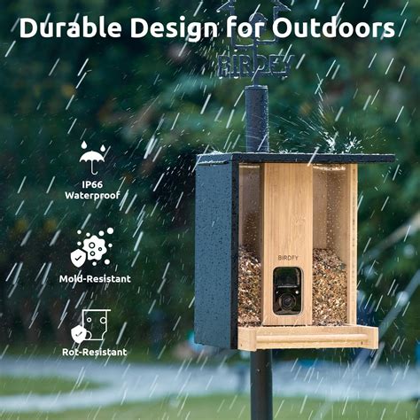 Snapklik.com : NETVUE Birdfy - Upgraded Smart Bird Feeder