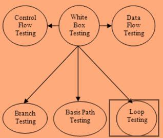 Loop Testing Tutorial 的图像结果