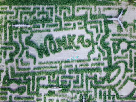 14 Biggest and Best Corn Mazes in America