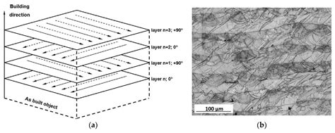 Microstructure, Solidification Texture, and Thermal Stability of 316 L ...