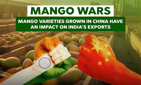 Mango Wars: China's Mango Varieties Impact India's Exports | Getfarms Blog