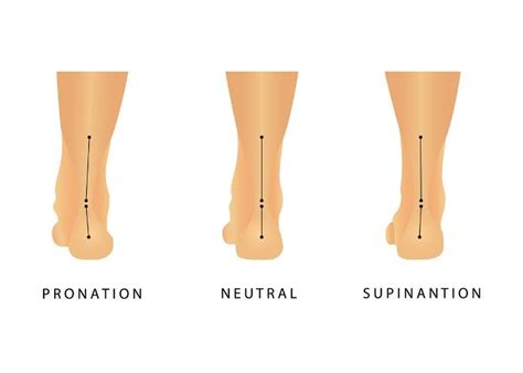 Supinación | Qué es la supinación