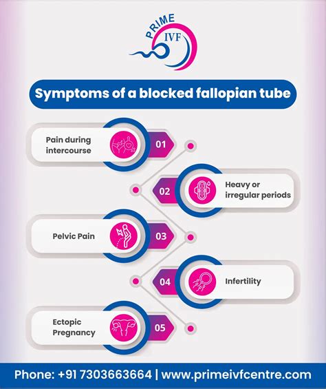 Blocked Fallopian Tube Symptoms Causes, Diagnosis, And, 01/15/2023